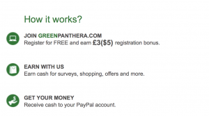 greenpanthera.com